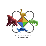 Les 4 Animaux